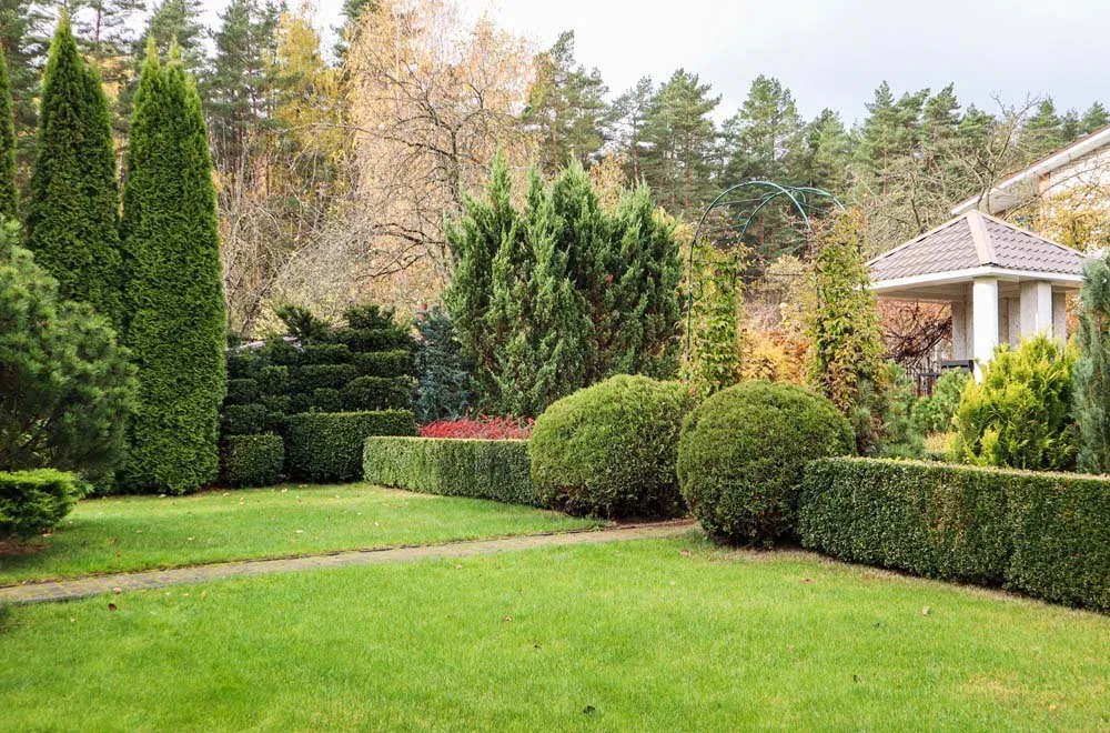 Landscape Design