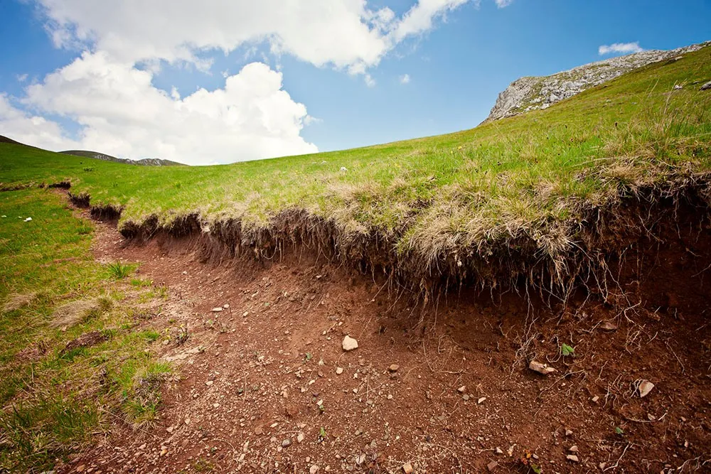 Erosion Control