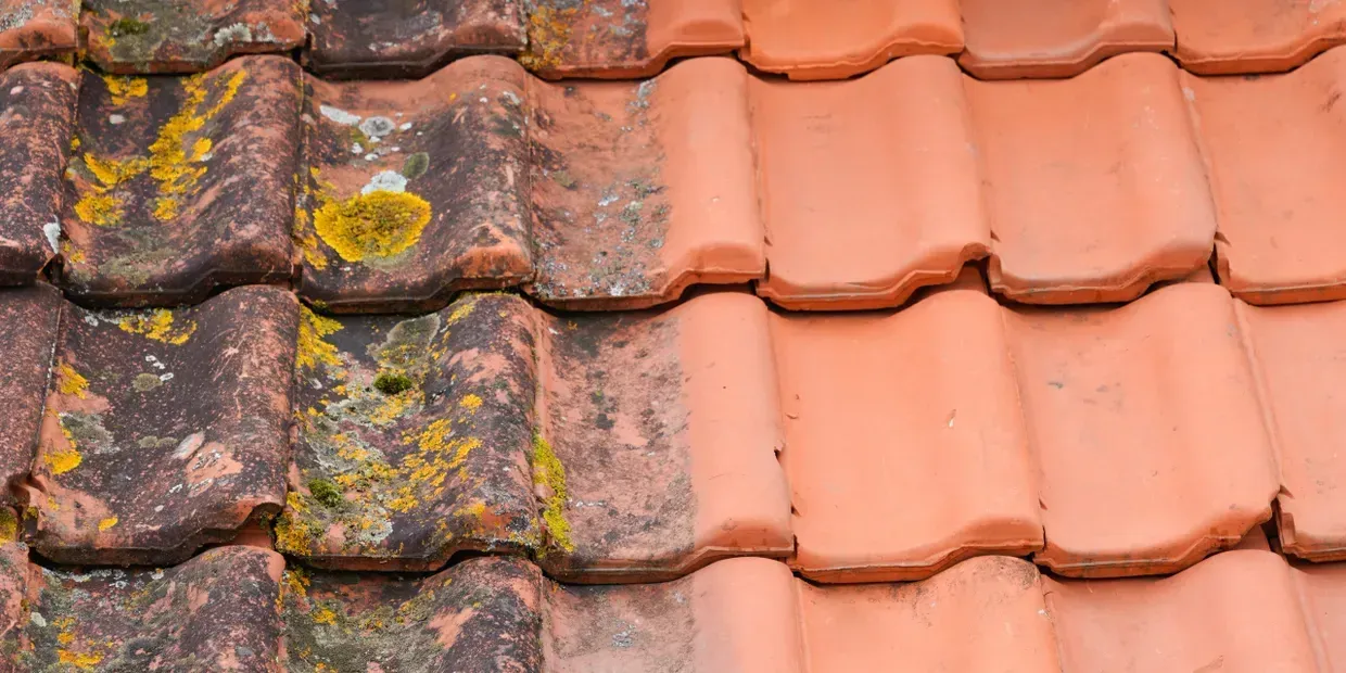 Roof Cleaning