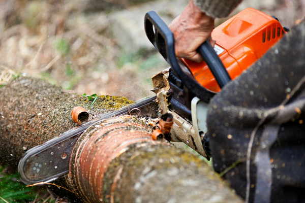 Avilez Tree Service