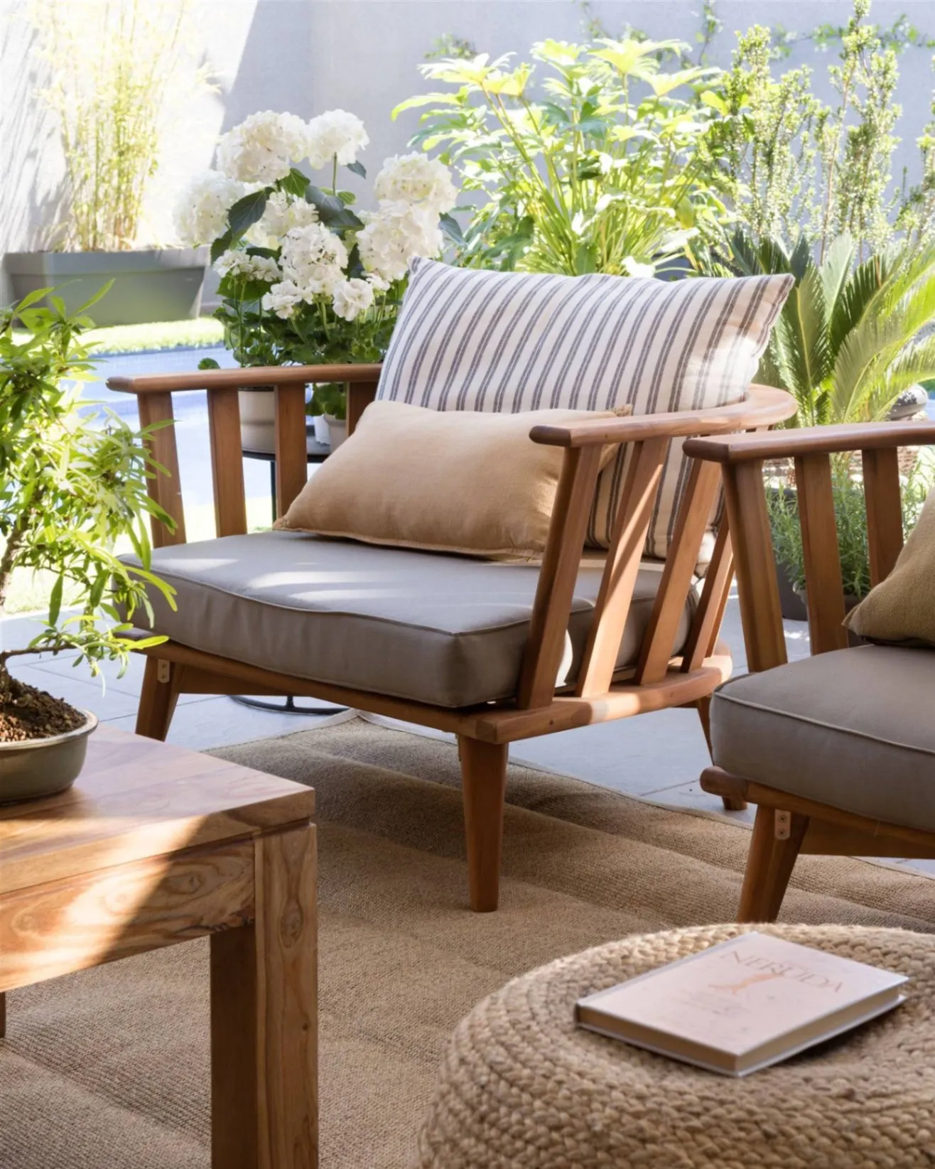 Upholstery Cleaning