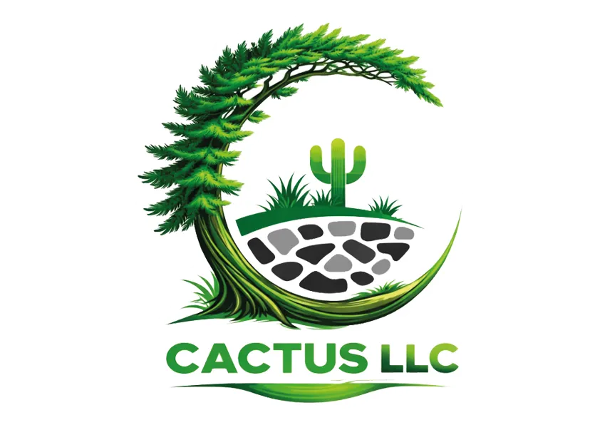 Cactus LLC