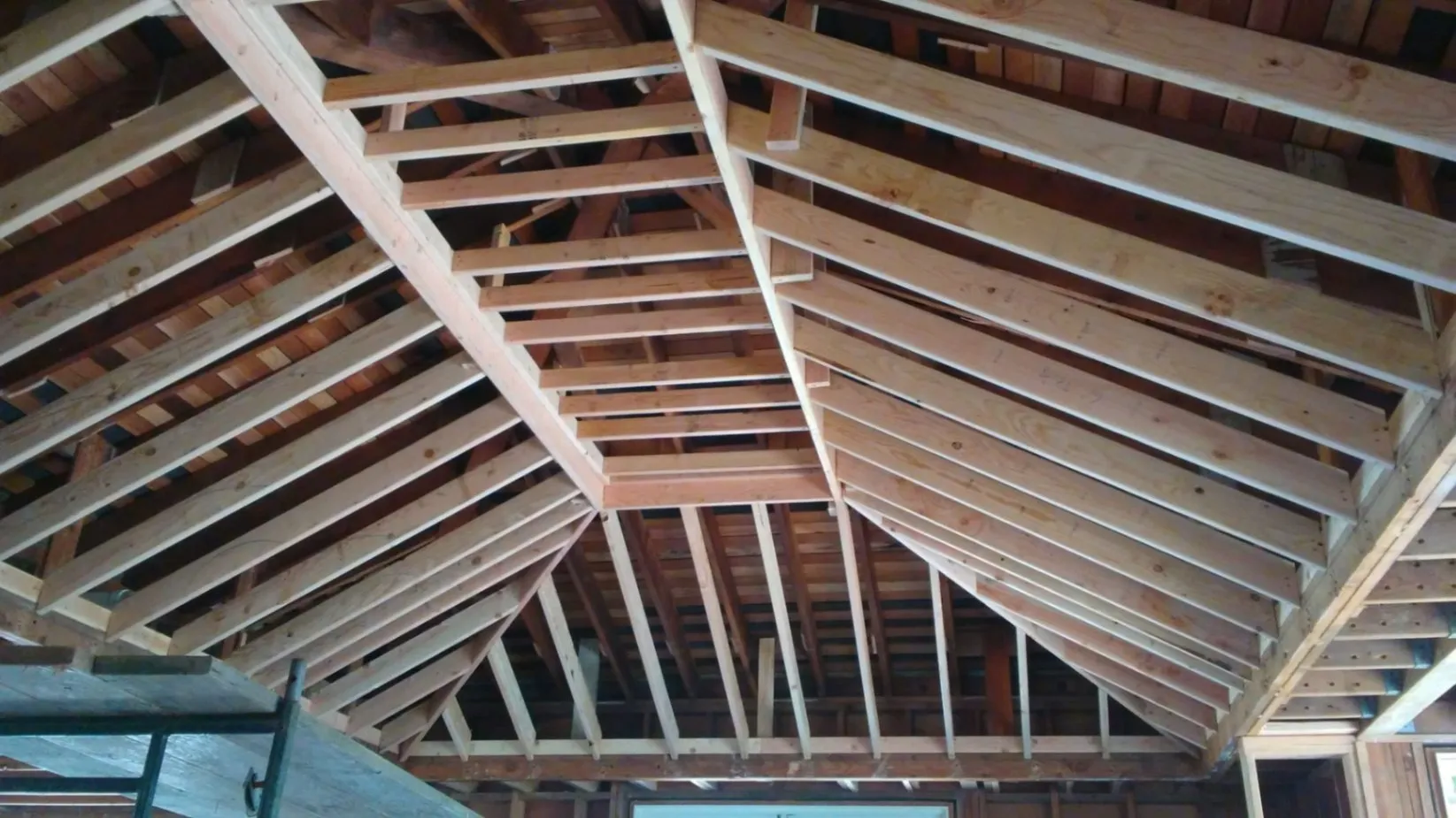 Gallery image 15