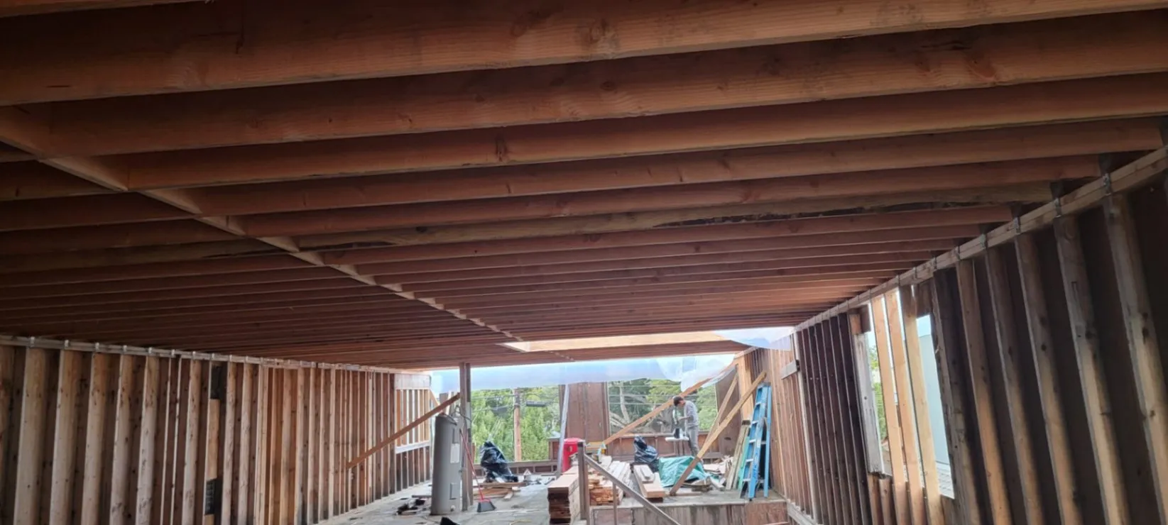 Gallery image 66