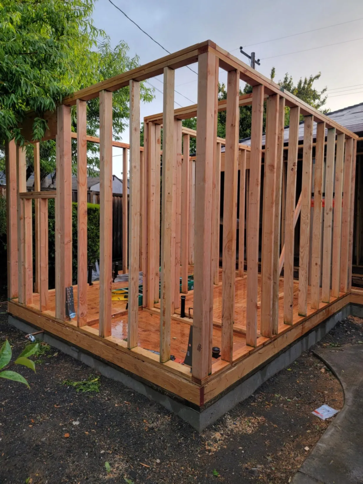 Gallery image 5