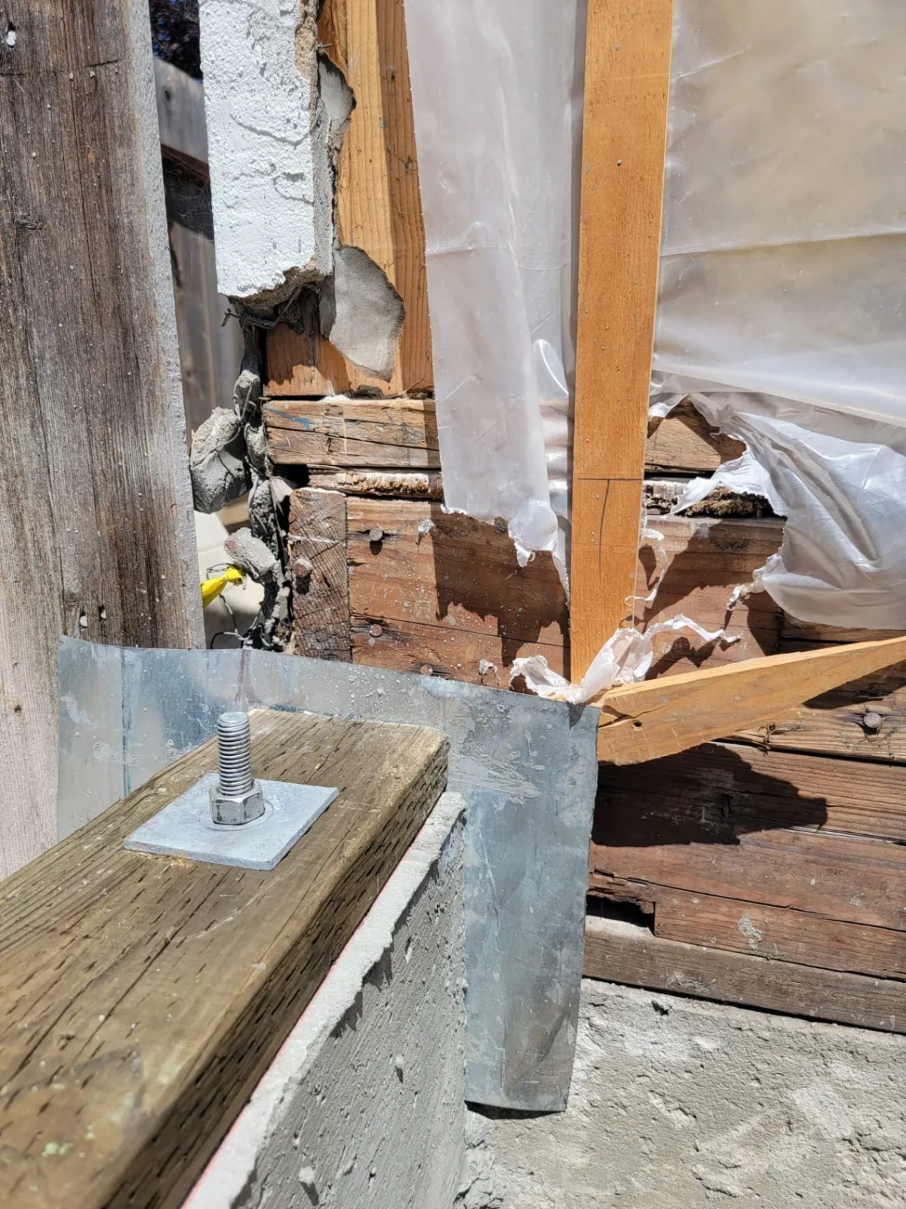Gallery image 41