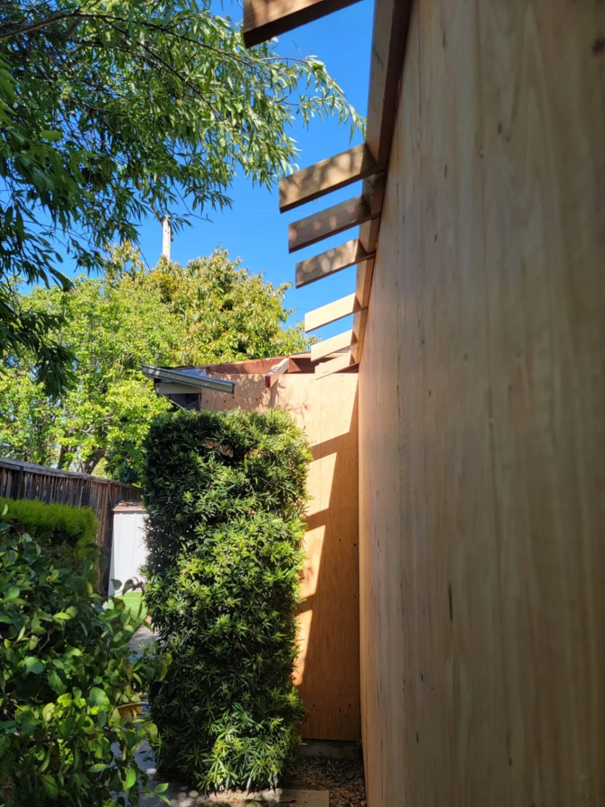 Gallery image 63