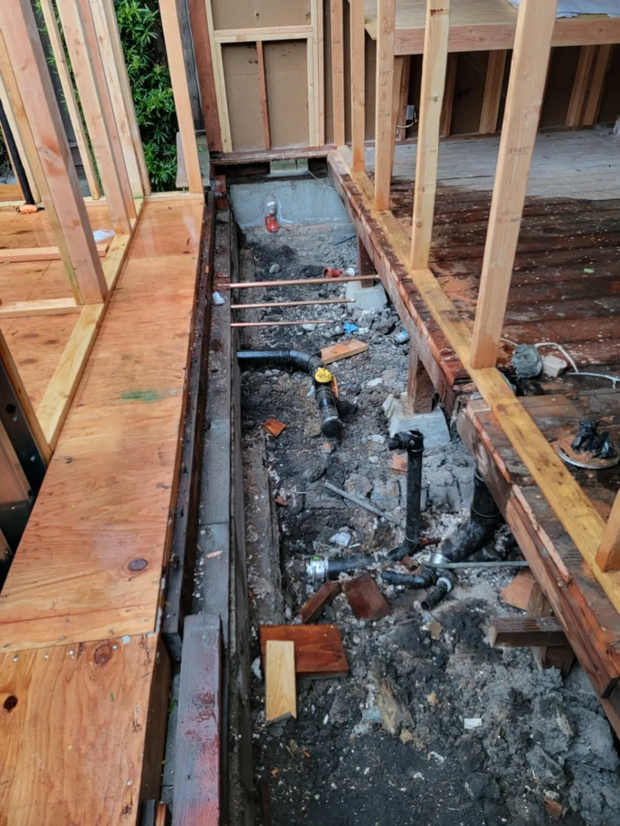 Gallery image 104