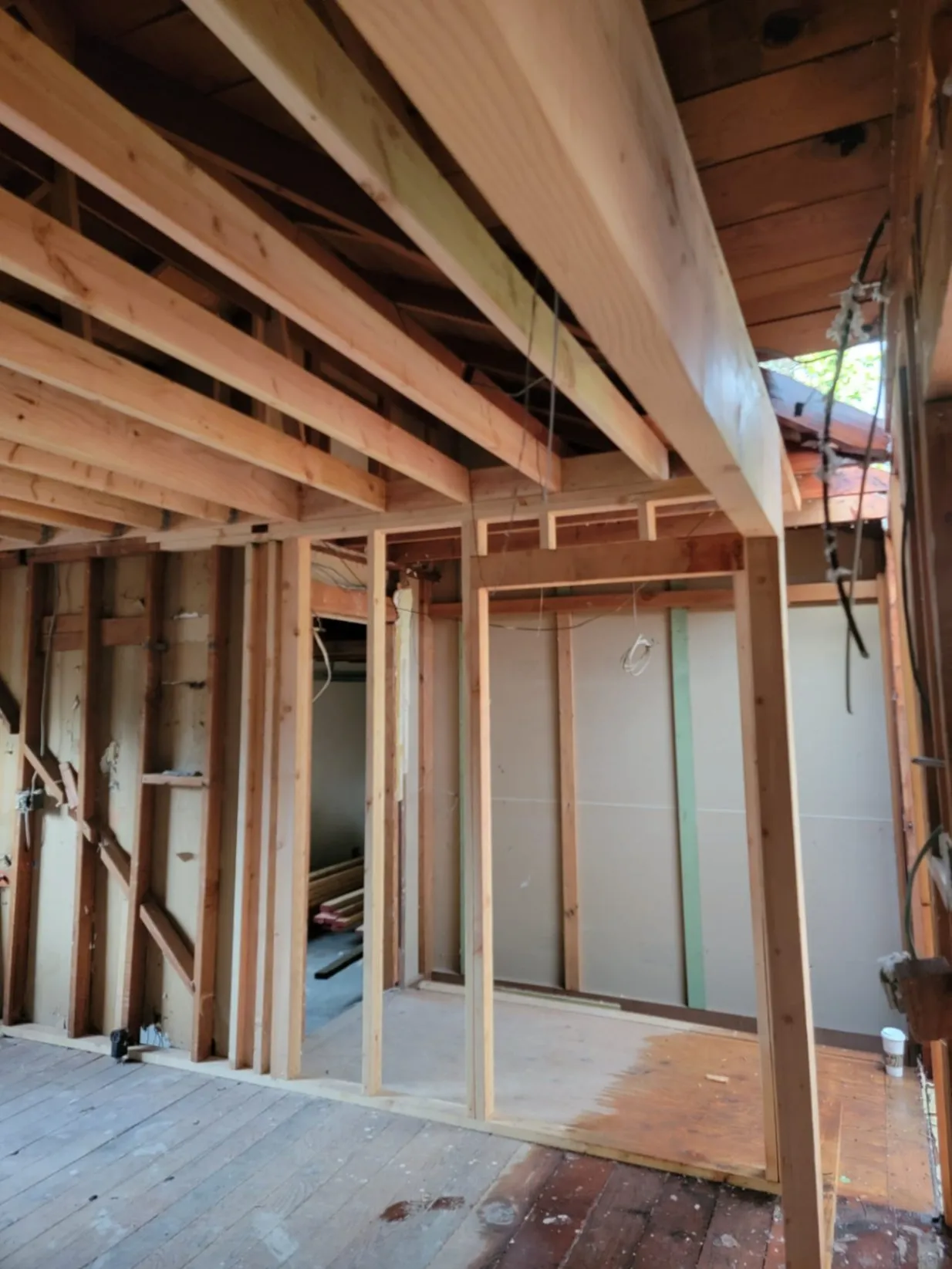 Gallery image 103