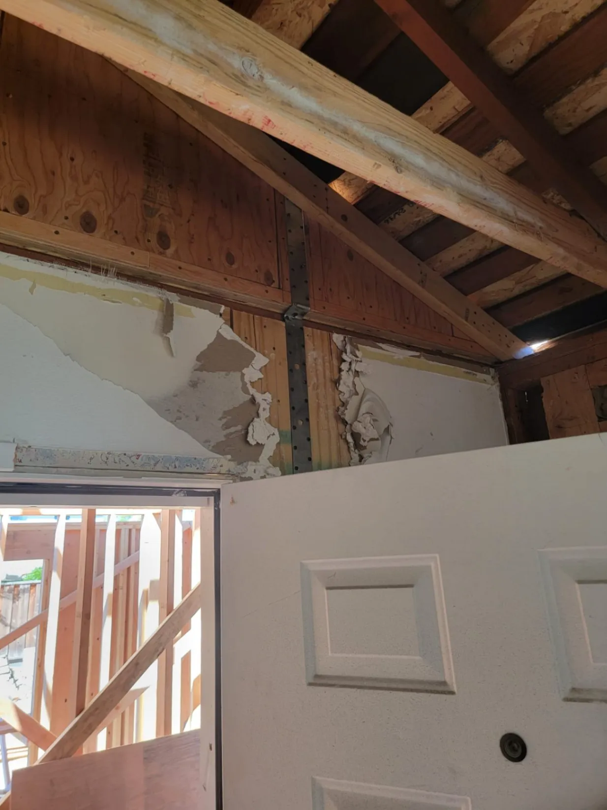 Gallery image 39