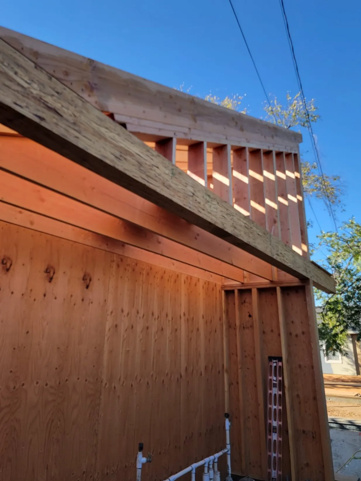 Gallery image 11