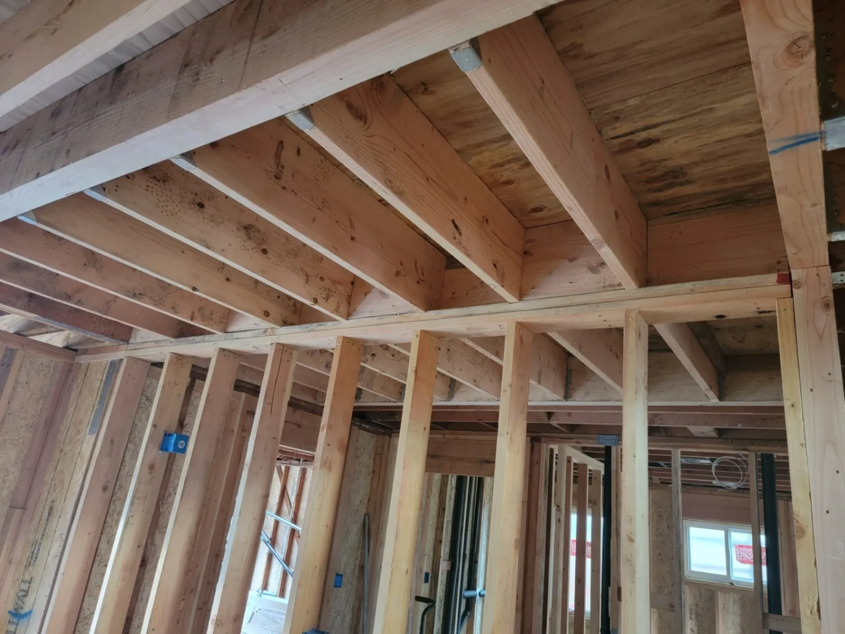 Gallery image 8