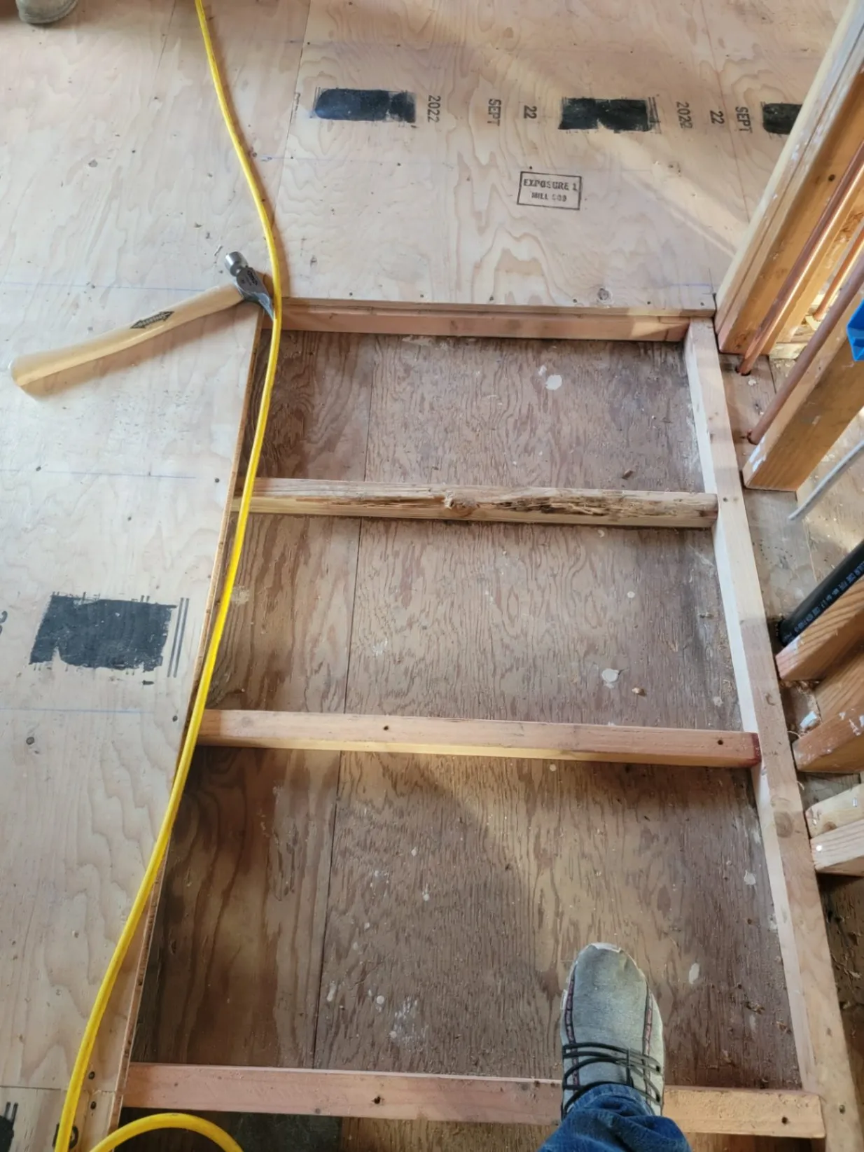 Gallery image 10