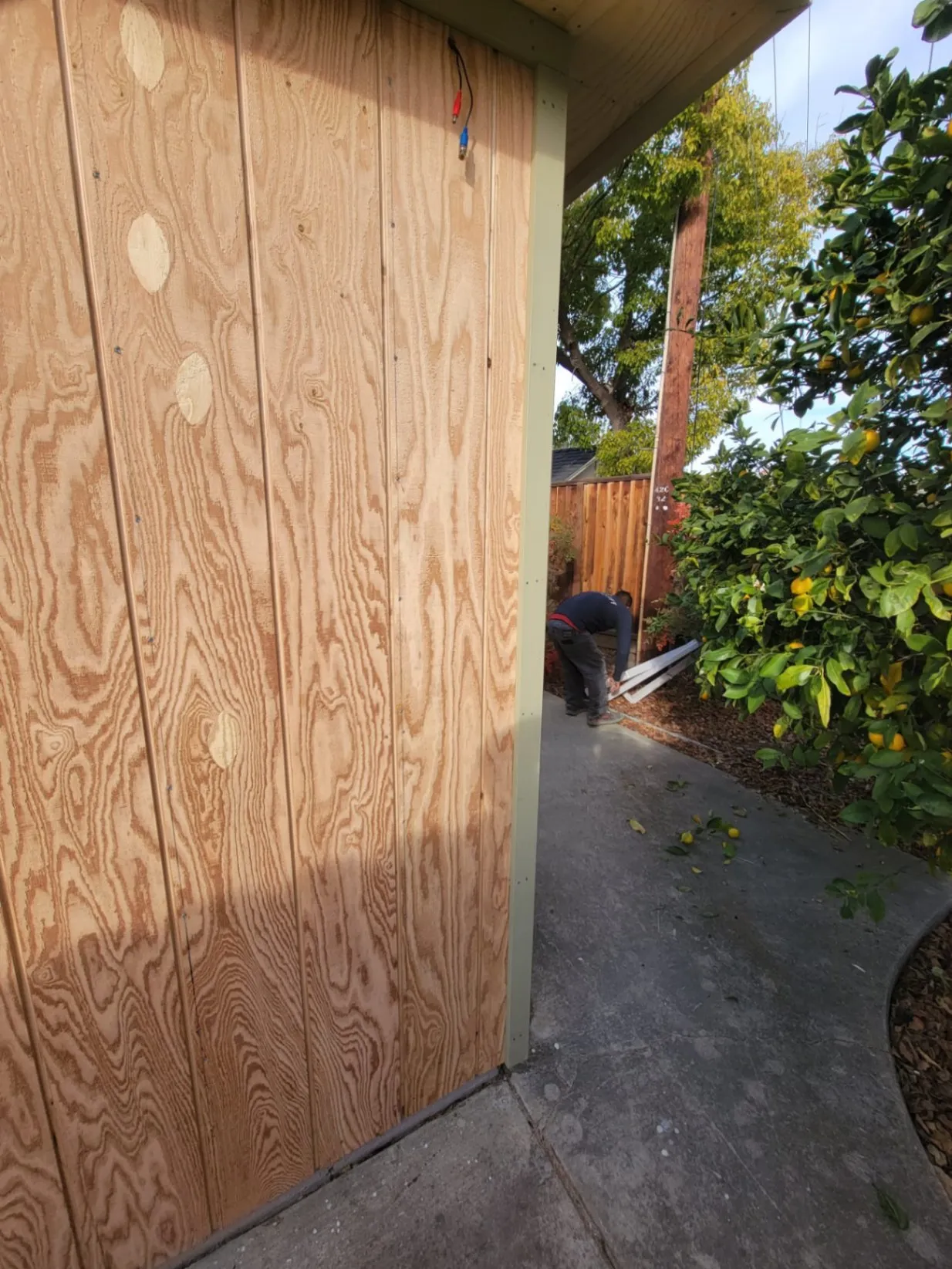 Gallery image 12