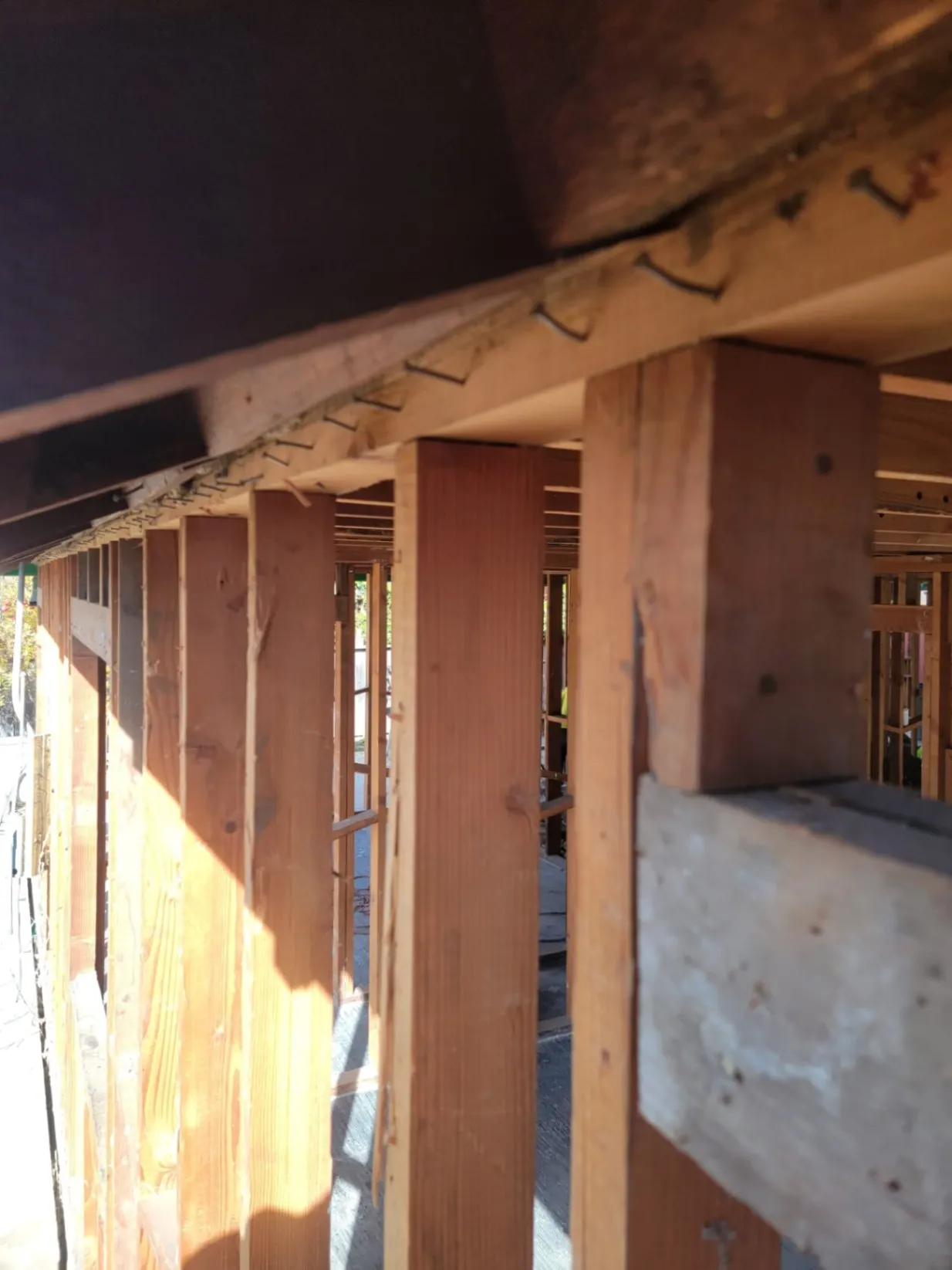 Gallery image 13