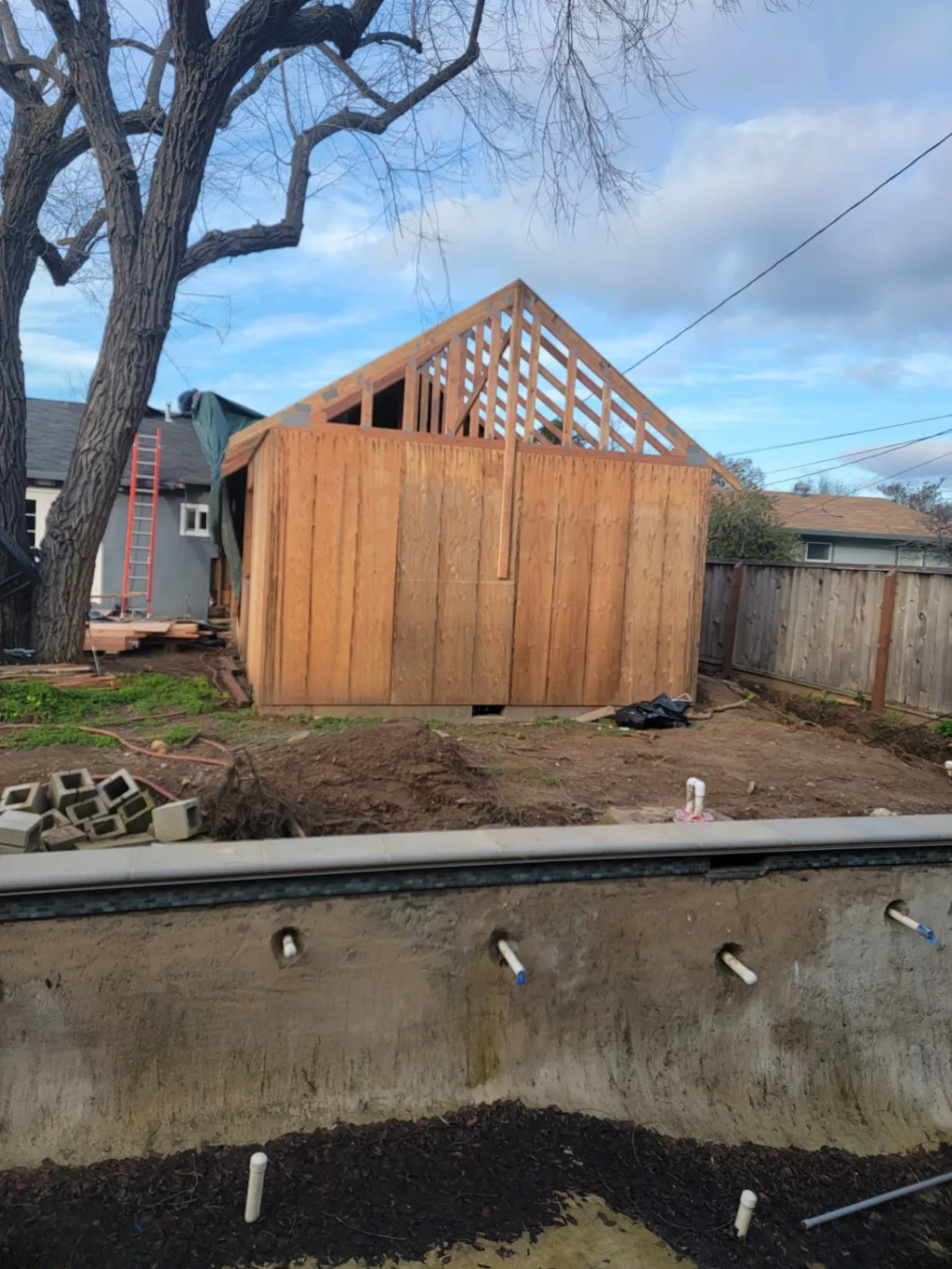 Gallery image 56