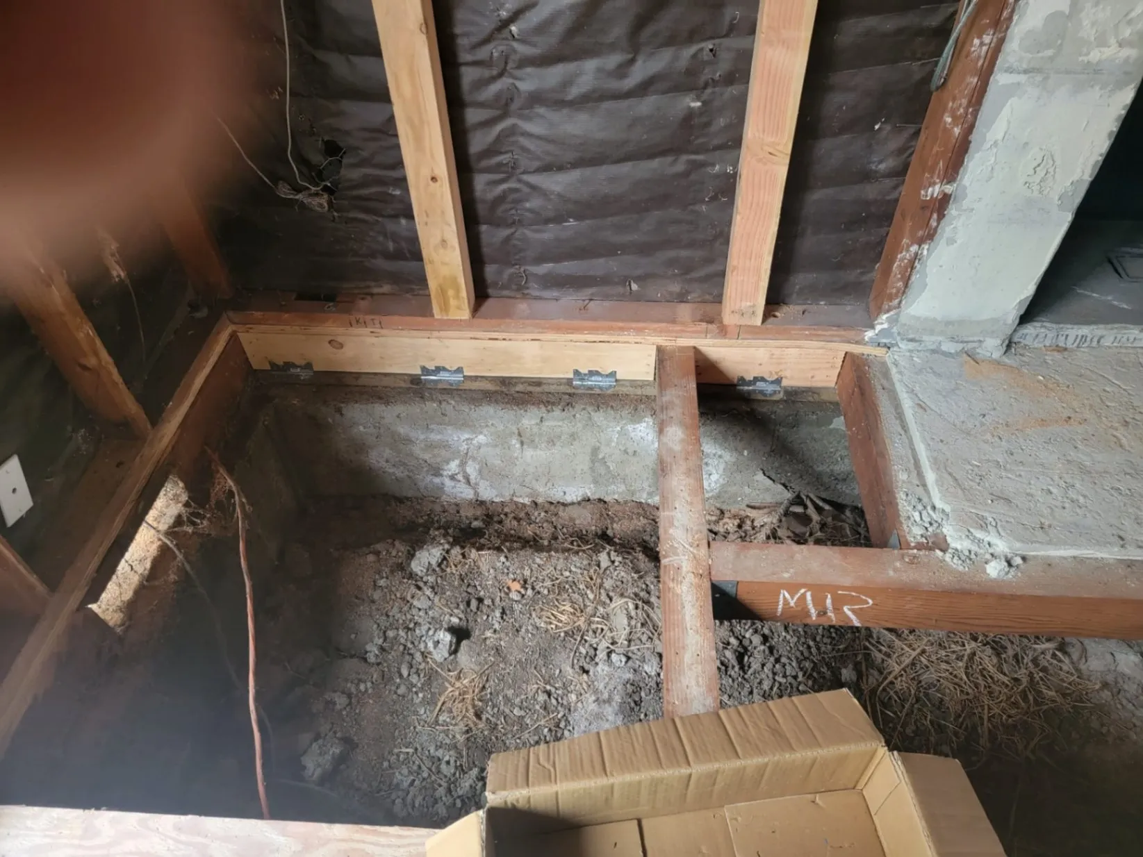 Gallery image 12