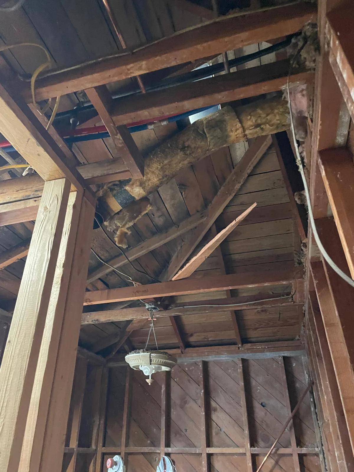 Gallery image 12