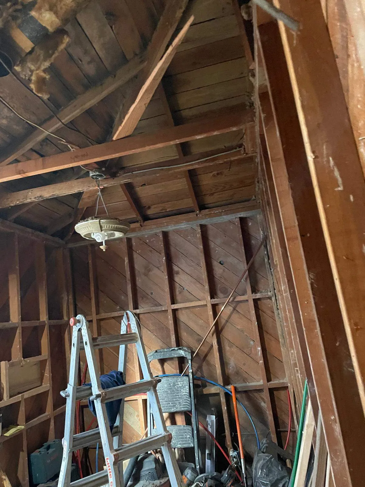 Gallery image 14