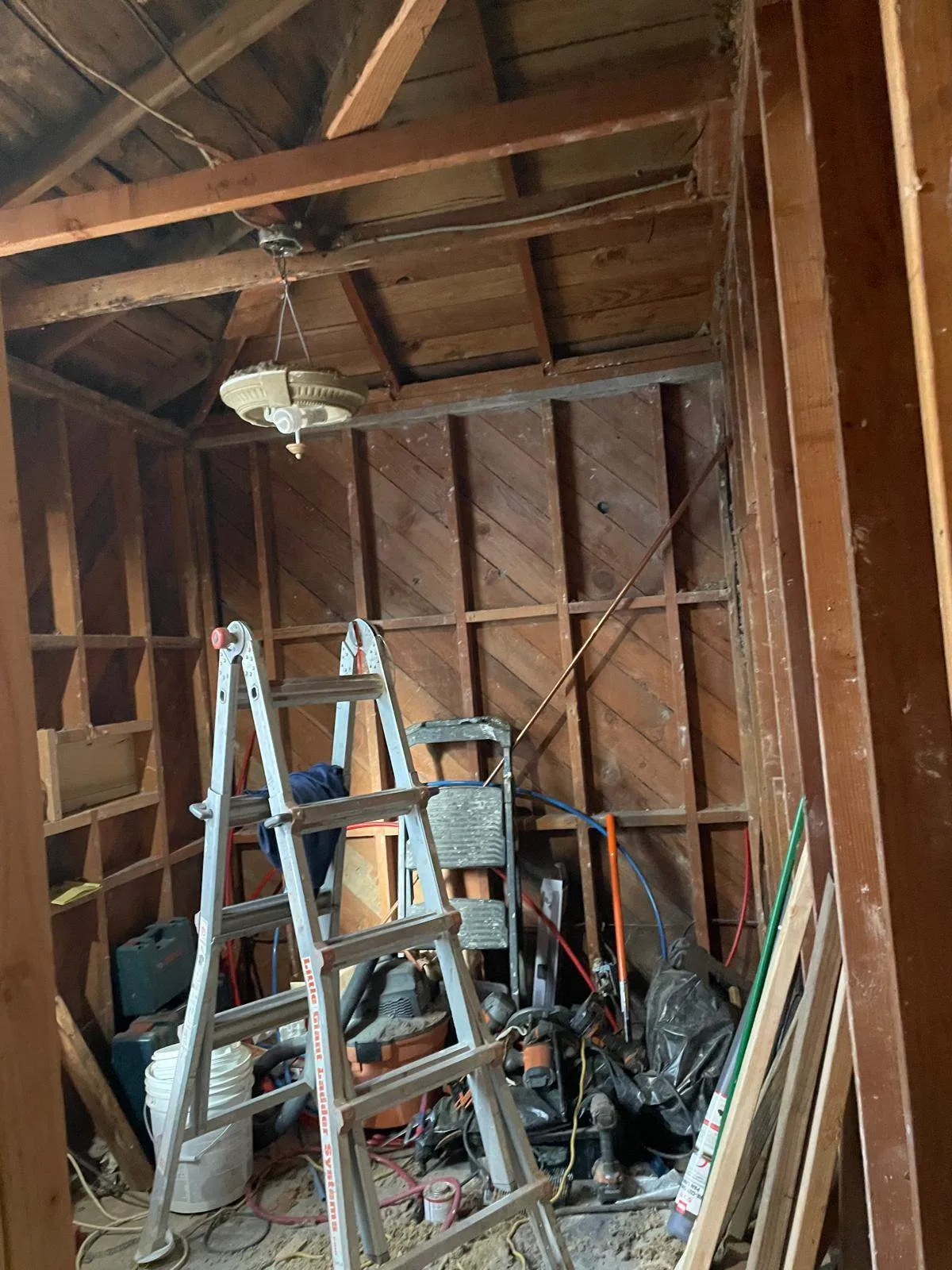 Gallery image 15