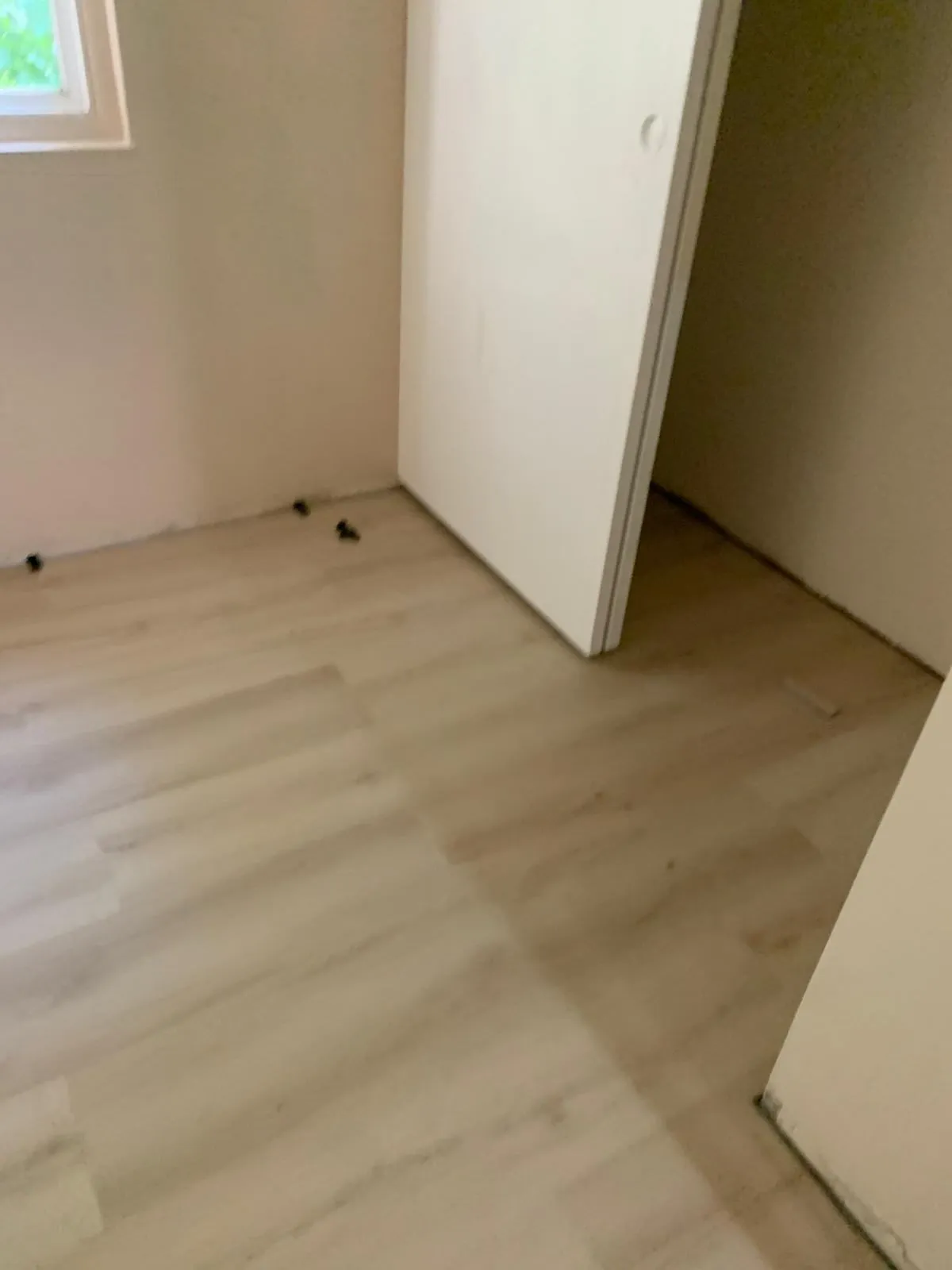 Gallery image 17