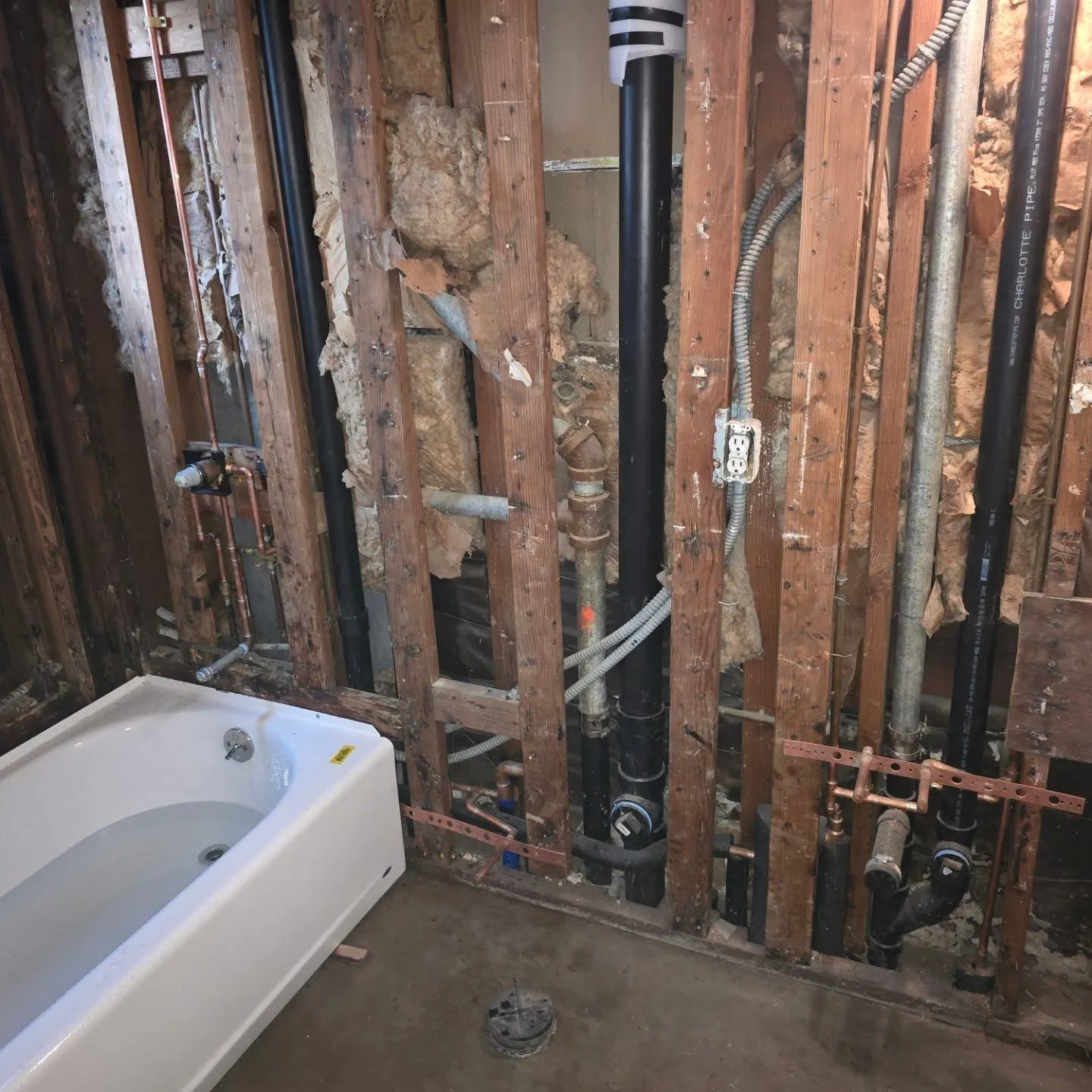Gallery image 12