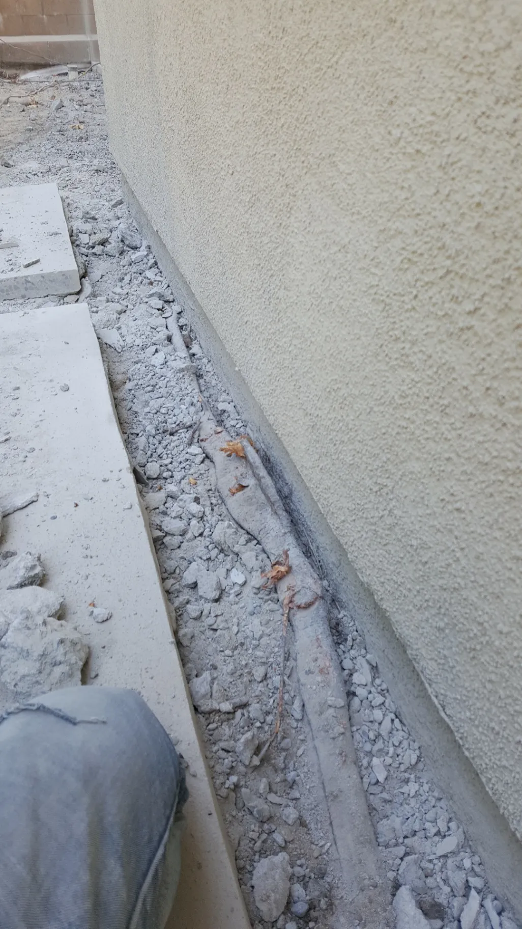 Gallery image 62