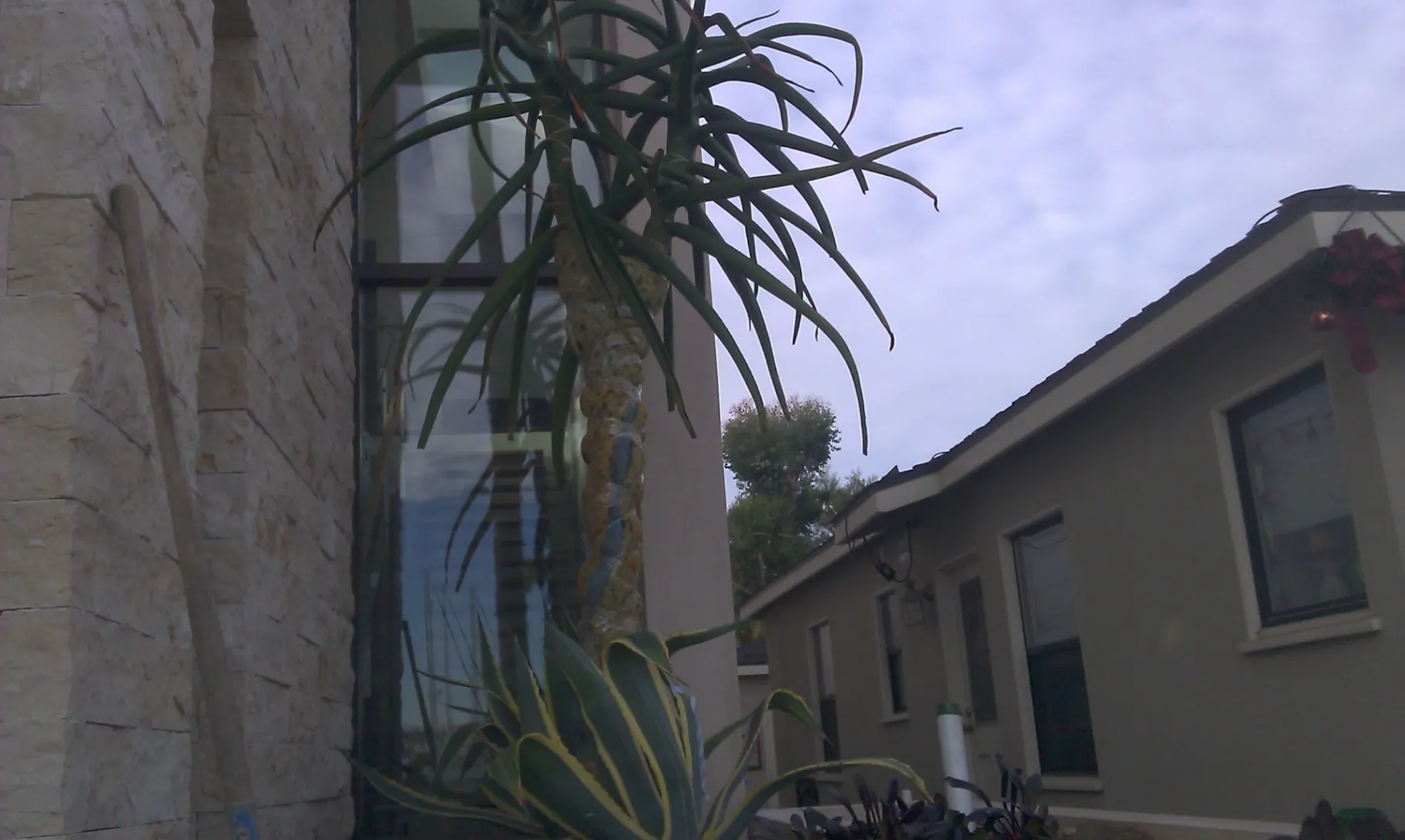 Gallery image 20