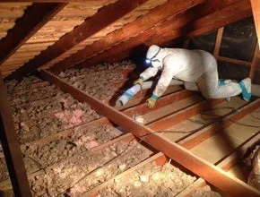 Remove Insulation