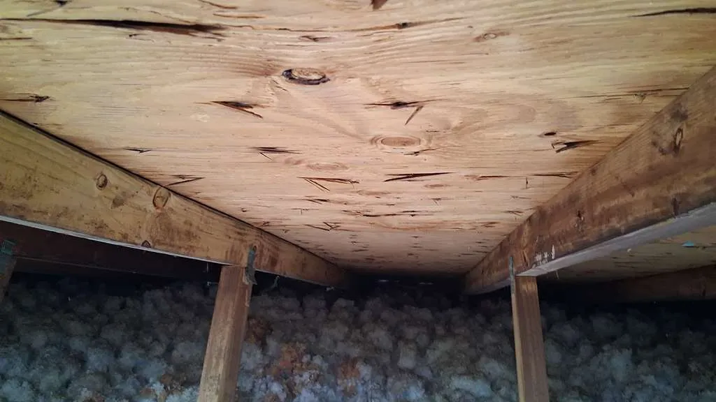 Gallery image 8