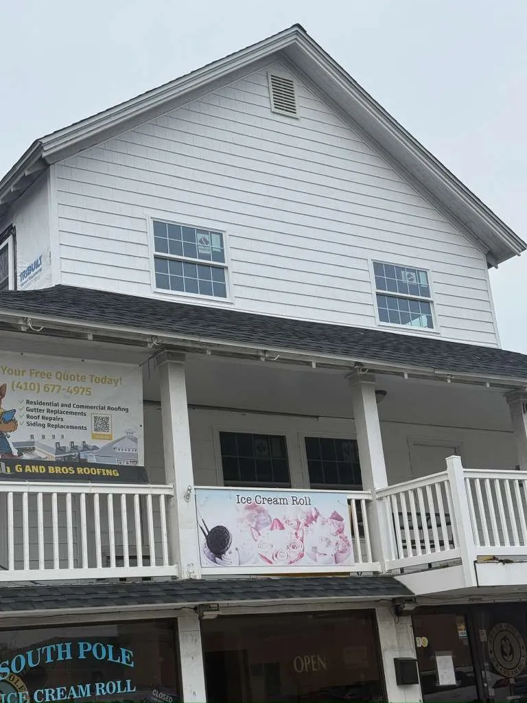 Gallery image 13
