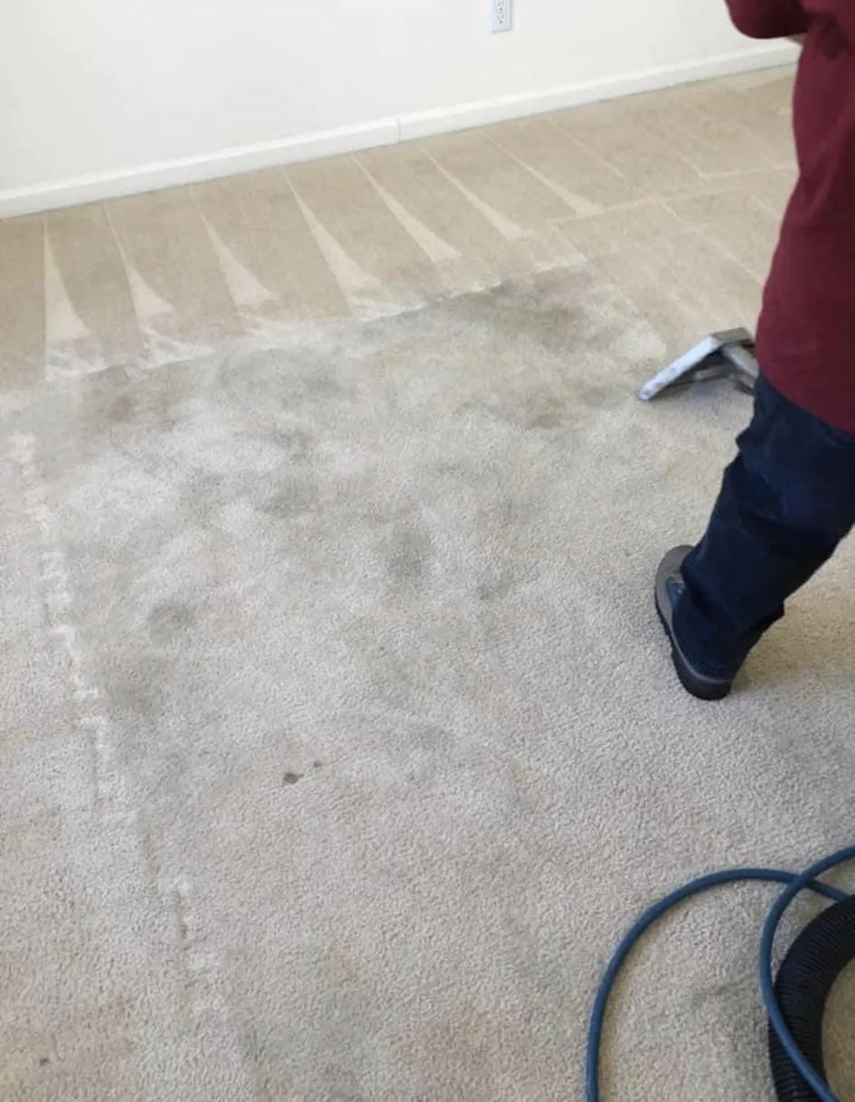 B & W Carpet Cleaning and More