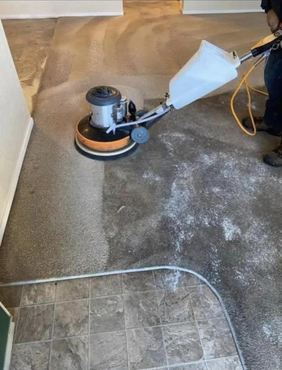 Tile Cleaning