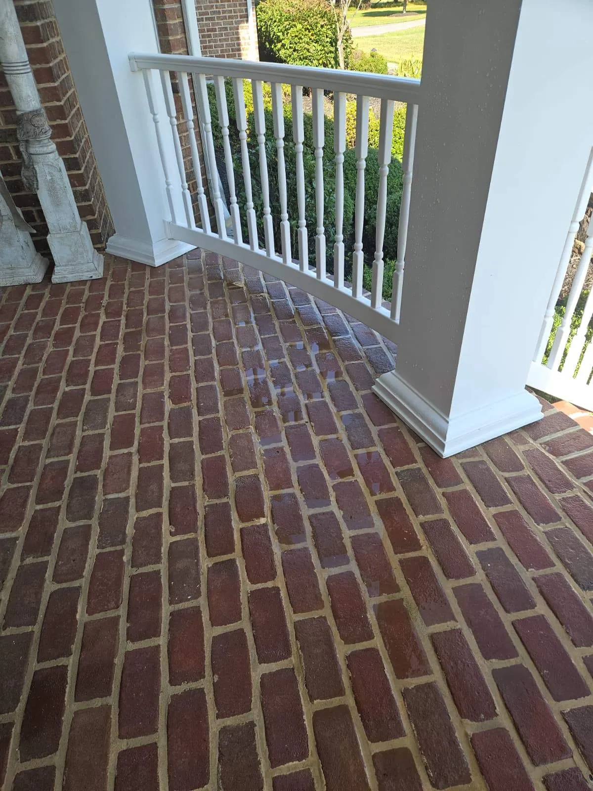 Gallery image 14