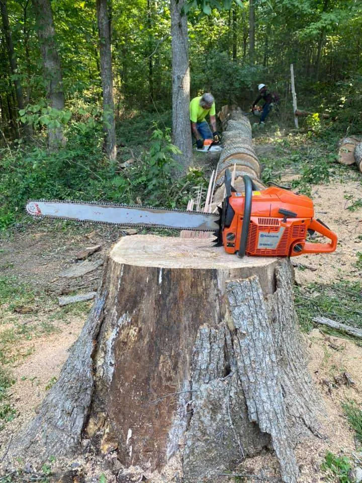 Polo`s Tree Service LLC
