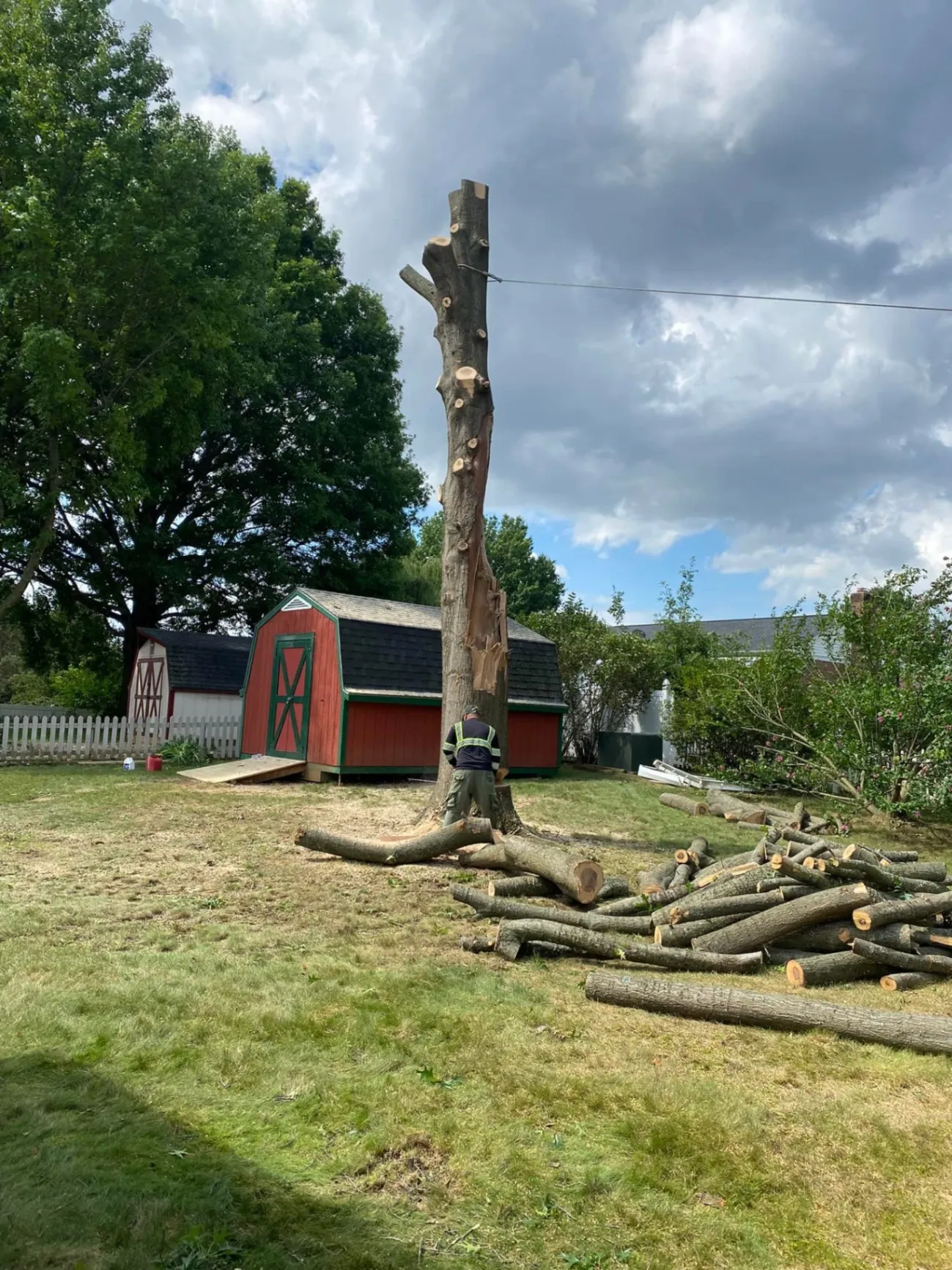 Polo`s Tree Service LLC