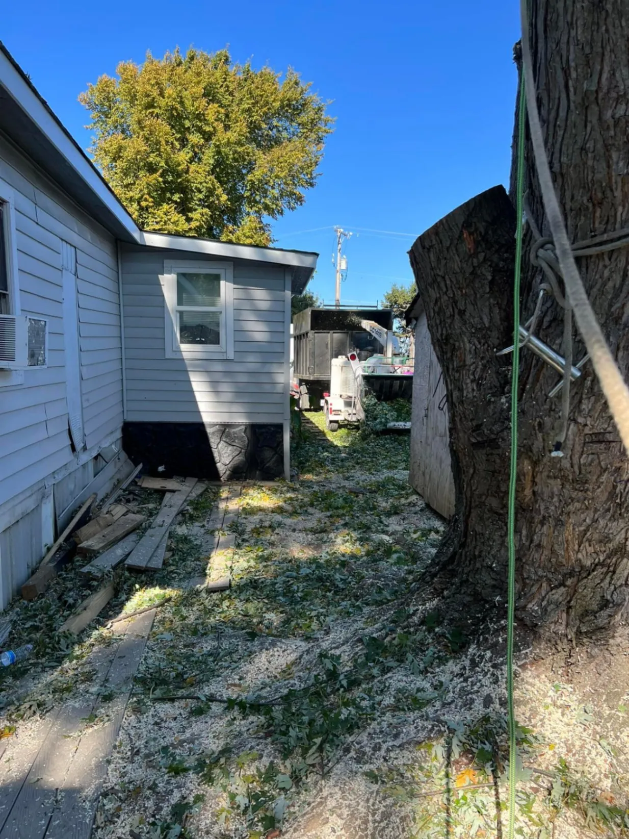Polo`s Tree Service LLC