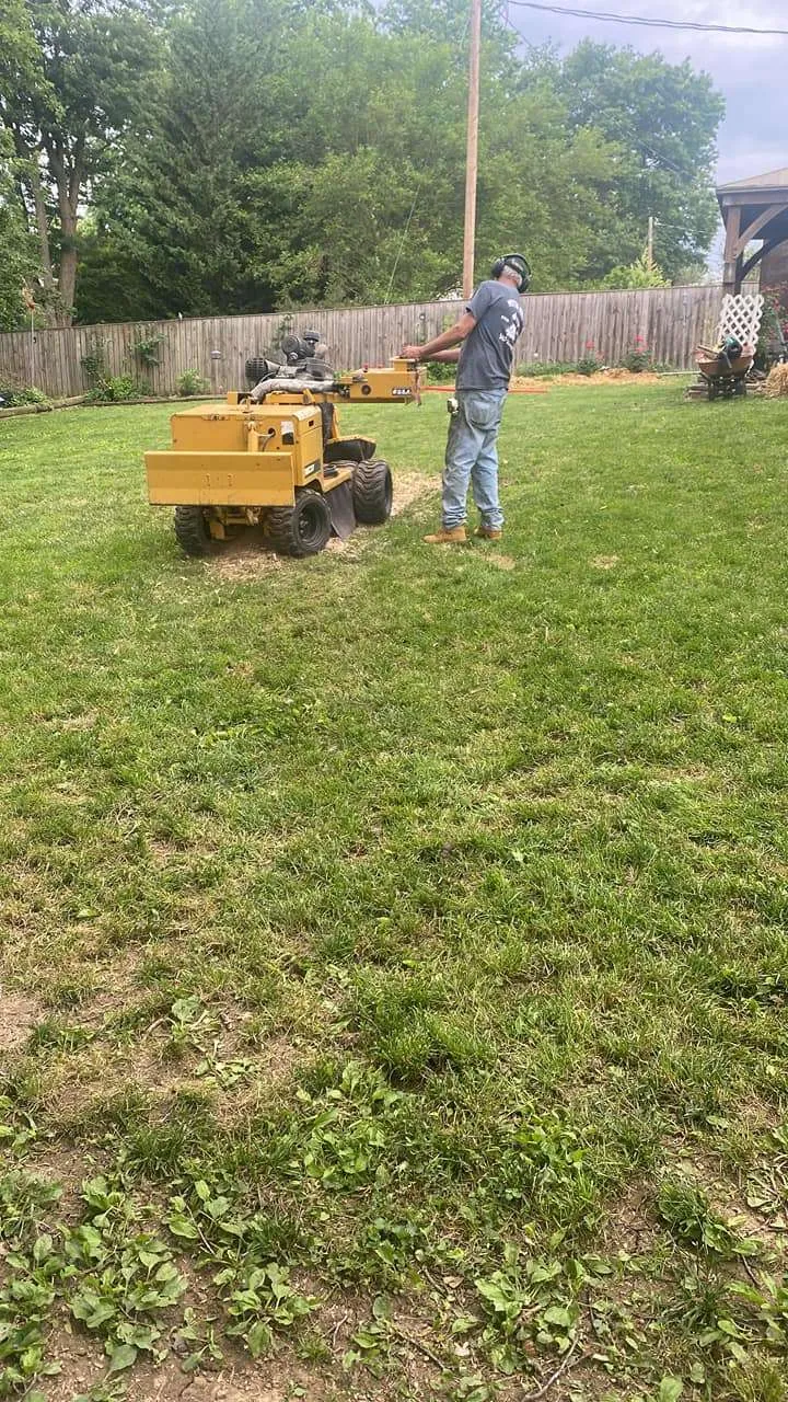 Tree Stump Removal