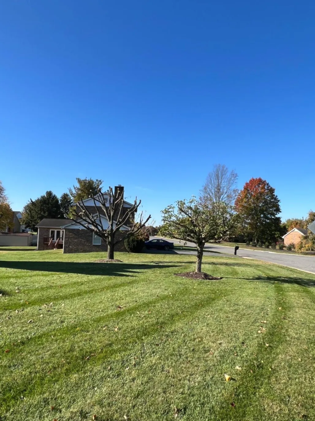 Gallery image 15
