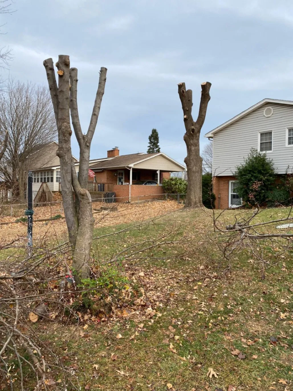 Gallery image 45