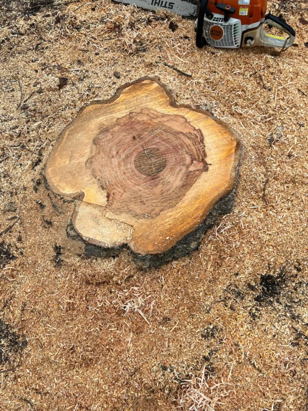Gallery image 6