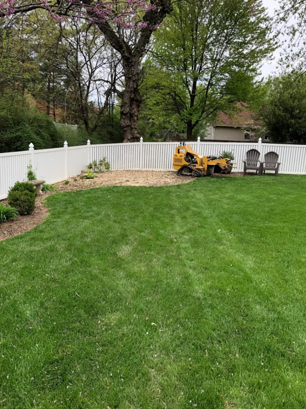 Gallery image 15