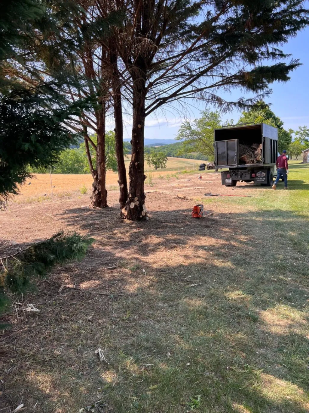 Gallery image 36