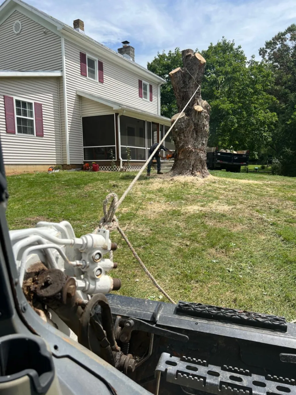 Gallery image 19