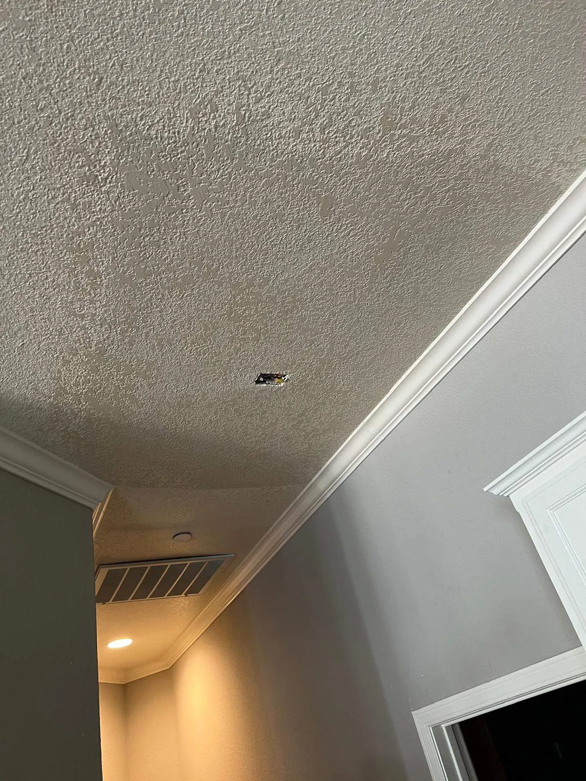Gallery image 13