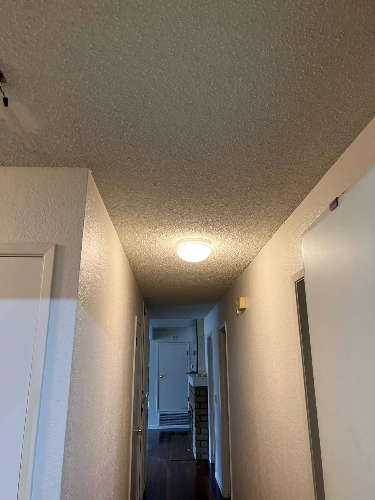 Gallery image 8
