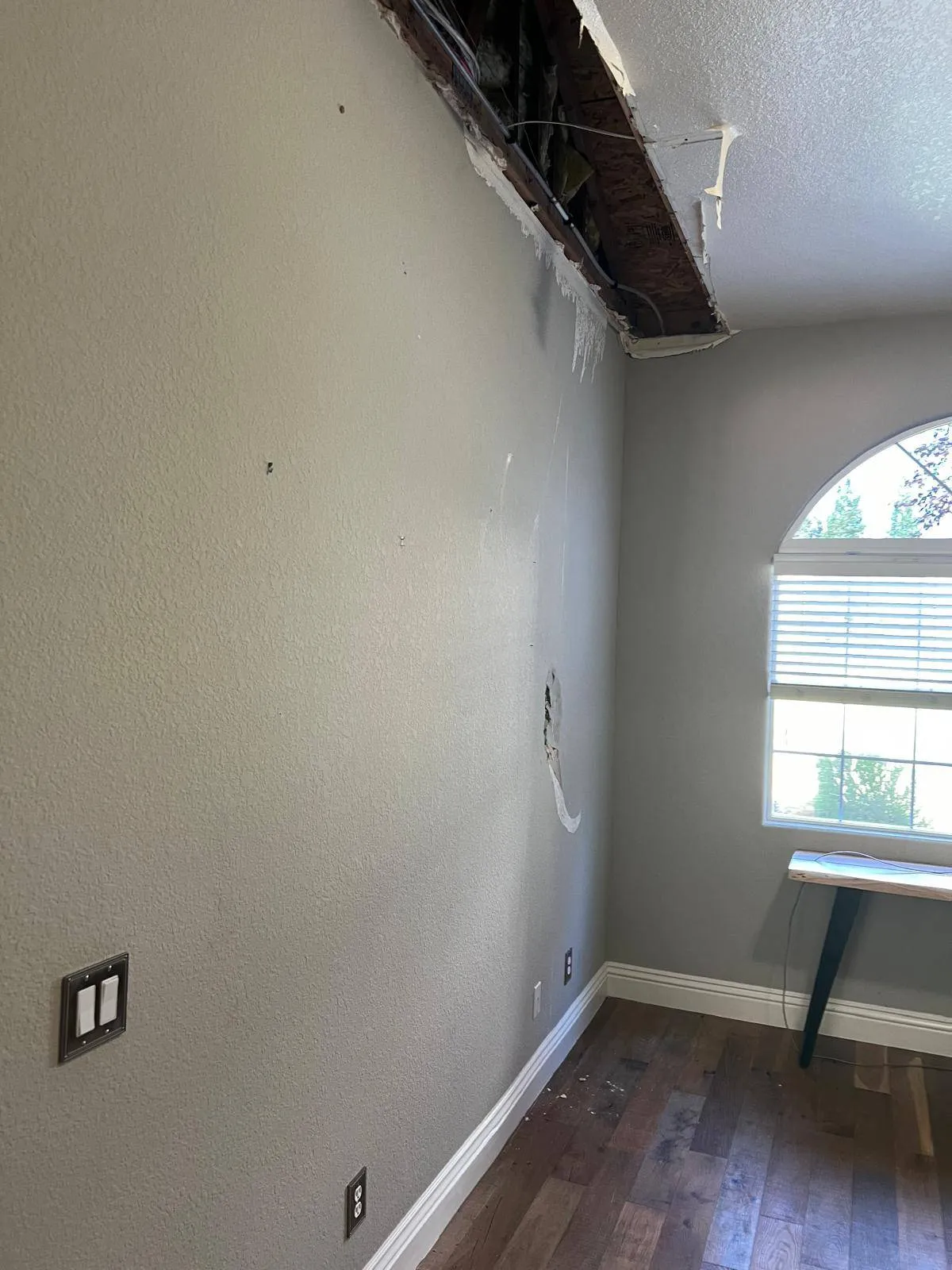 Gallery image 16