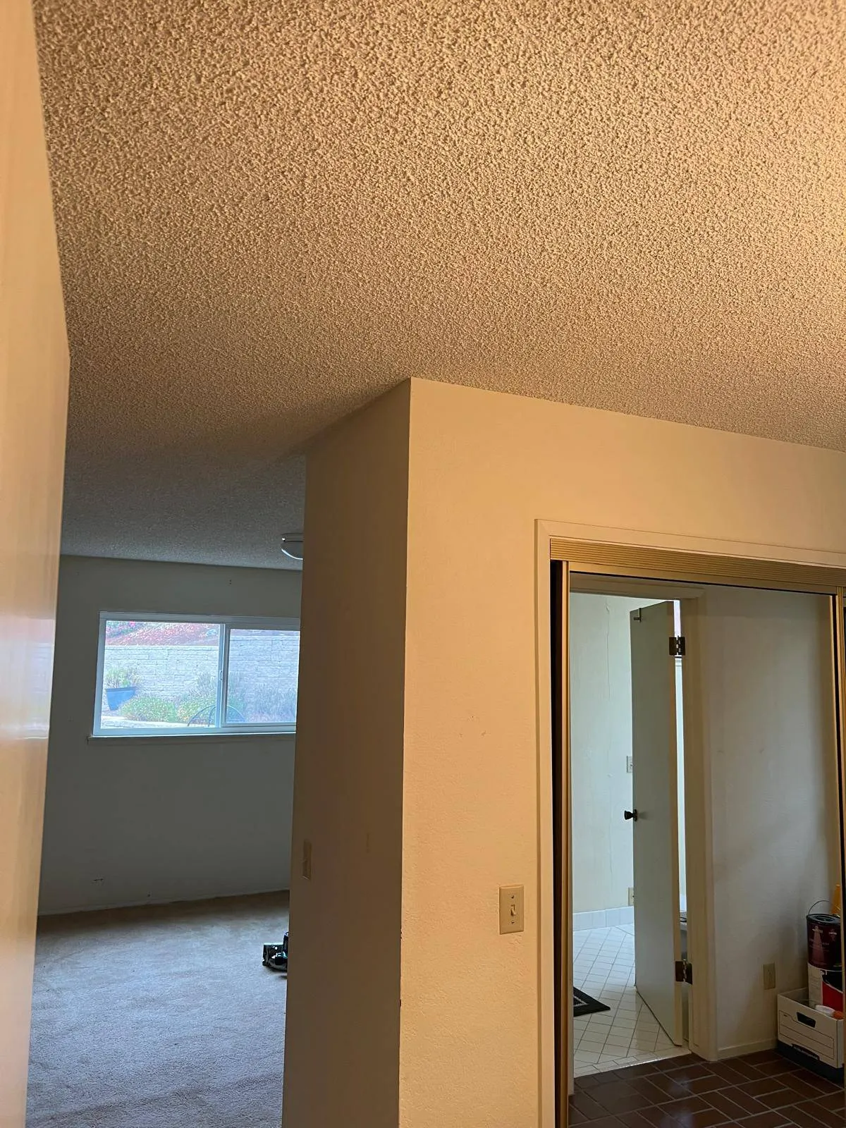 Gallery image 19