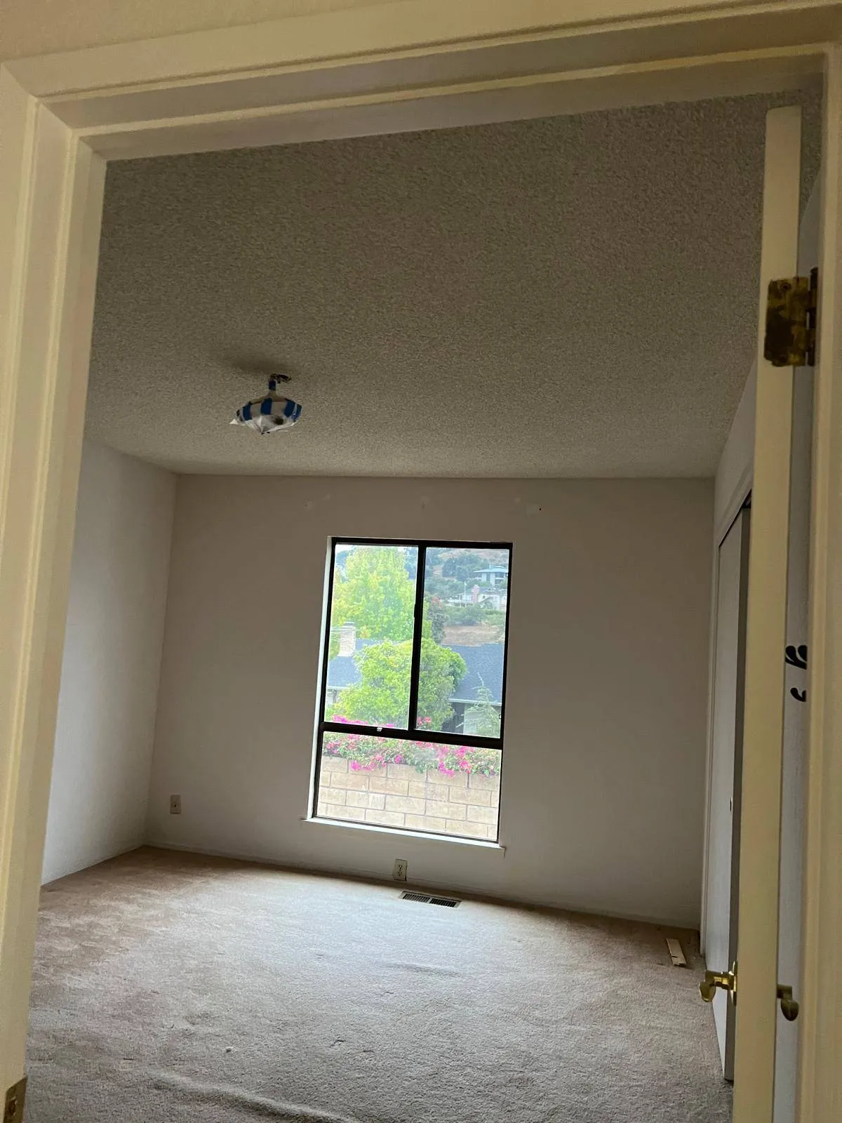 Gallery image 24