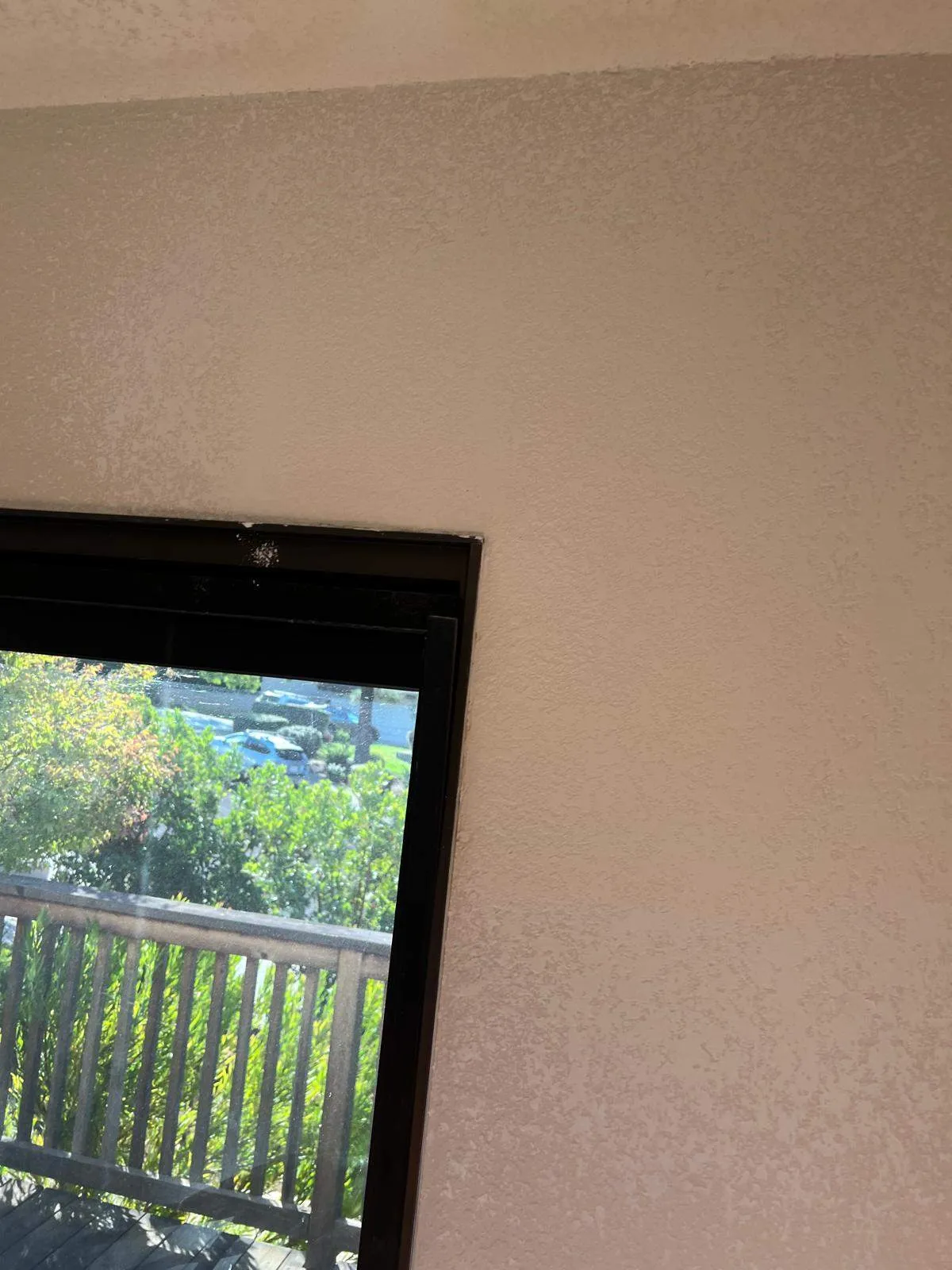 Gallery image 55